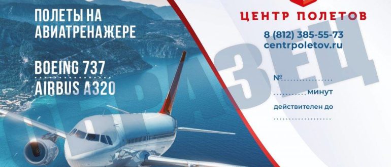 Полет на самолете в подарок — сертификаты, где купить, срок действия