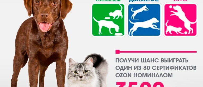 Акция Перфект Фит 2020 Марафон здоровья Конкурс в Инстаграм с подарками