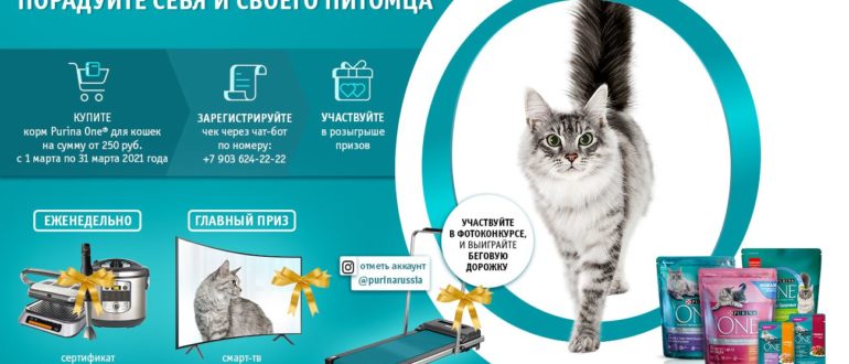 Акция Purina One в Лента День здоровья кошек Выигрывайте технику и подарки для питомцев
