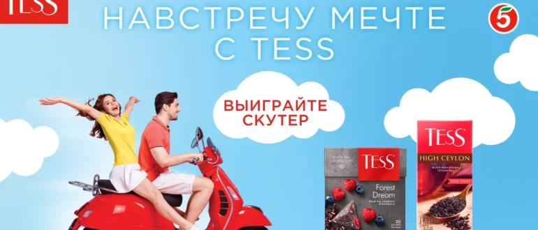 Акция Tess и Пятерочка 2023 Навстречу мечте с TESS