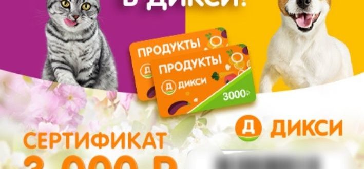 Акция Whiskas в Дикси Пушистая весна в Дикси