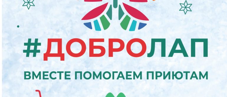 Благотворительная акция магазина Четыре лапы и Purinа Добролап