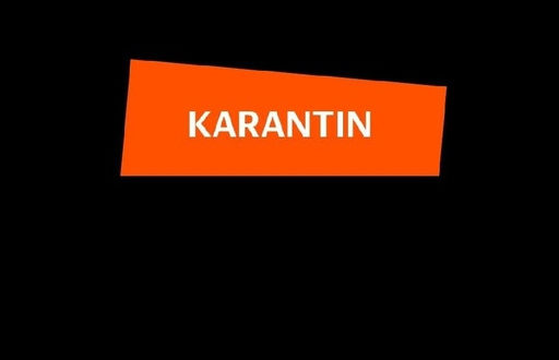 Карантин 2020 скидки промокоды от онлайн-платформ на время карантина Бесплатные курсы фильмы и