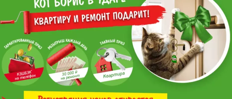 Промо акция KiteKat 2021 Квартира и ремонт от кота Бориса